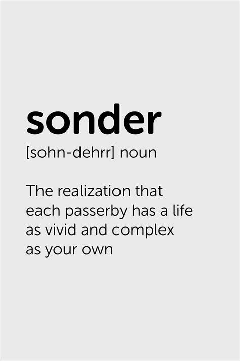 sonder 意思